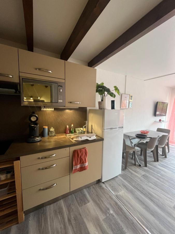 Appartement Argeles-Sur-Mer Avec Piscine A 500M De La Mer Екстериор снимка