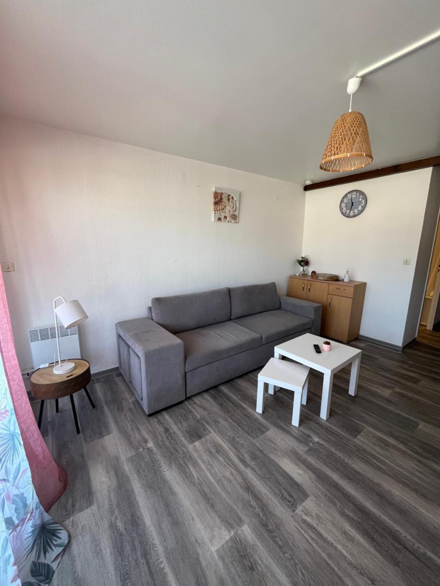 Appartement Argeles-Sur-Mer Avec Piscine A 500M De La Mer Екстериор снимка